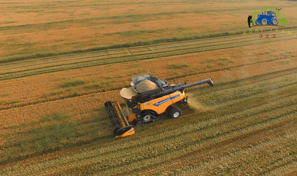 demo macchine raccolta